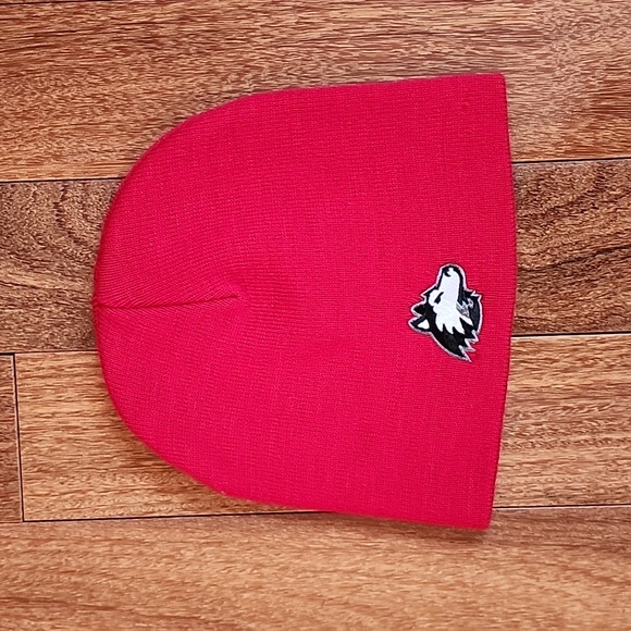 NIU Huskies Winter Hats NORTHERN ILLINOIS UNIVERSITY Men's Women's Kids - Picture 5 of 6